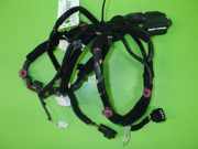 Kabelstrang Kabelbaum Tür vorne links KIA RIO III (UB) 1.4 CVVT 916001W390