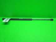 Gasdruckfeder Dämpfer hinten rechts RENAULT SCÉNIC II (JM0/1_) 2.0 dCi (JM1K) 8200616564