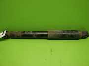 Stoßdämpfer hinten links PEUGEOT BOXER Pritsche/Fahrgestell (244) 2.8 HDi