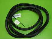 Türgummi Türdichtung hinten links BMW X3 (F25) xDrive 20 d 51227300249