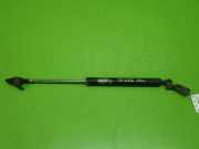 Gasdruckfeder Dämpfer hinten links HONDA JAZZ II (GD) 1.3 04746SAA010
