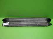 Ladeluftkühler RENAULT MASTER II Kasten (FD) 3.0 dCi 140 (HD0S, FD0S, HD1S) 7701057121