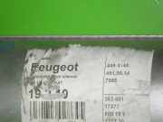 Auspufftopf Mitte PEUGEOT 106 I (1A, 1C) 1.4