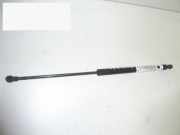 Gasdruckfeder Dämpfer hinten rechts FIAT MAREA Weekend (185) 2.0 150 20V