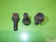 Radmutternsatz FIAT DUCATO Kasten (250) 160 Multijet 3,0 D