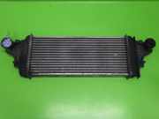 Ladeluftkühler MERCEDES-BENZ M-KLASSE (W164) ML 280 CDI 4-matic (164.120) A2515000000