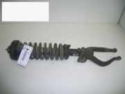 Federbein vorne links ROVER 600 (RH) 618 i/Si