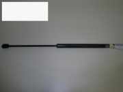 Gasdruckfeder Dämpfer hinten links NISSAN (DATSUN) ALMERA II Hatchback (N16) 1.8