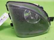 Nebelscheinwerfer rechts BMW 5 Touring (F11) 530 d xDrive 63177216886