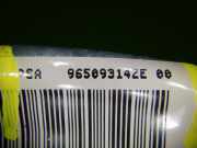 Fahrer Airbag CITROEN C5 II (RC_) 2.0 16V (RCRFJB, RCRFJC) 96509314ZE