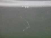 Verkleidung Hecktür RENAULT MODUS / GRAND MODUS (F/JP0_) 1.2 (JP0C, JP0K, FP0C, FP0K, FP 8200213729