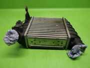 Ladeluftkühler VW POLO (9N_) 1.4 TDI 6Q0145804A