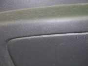 Türverkleidung vorne links FIAT QUBO (225) 1.3 D Multijet 7354800640E