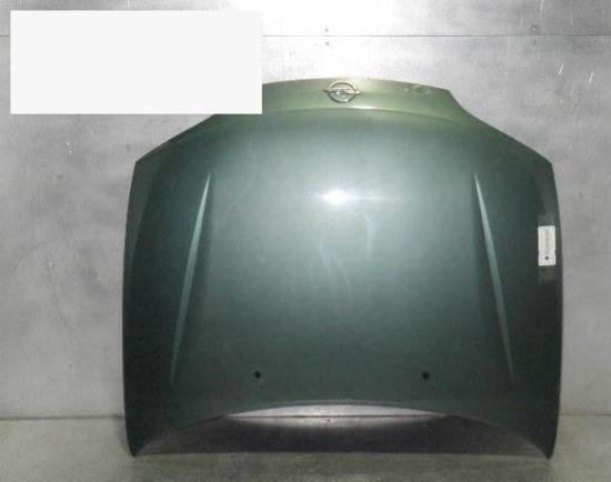 Motorhaube OPEL TIGRA (95_) 1.4 16V Bild Motorhaube OPEL TIGRA (95_) 1.4 16V