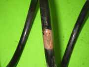 Feder vorne links MAZDA 2 (DE_, DH_3) 1.3 D656-34-011