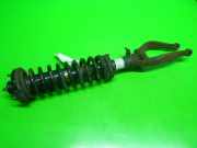 Federbein vorne links ROVER 600 (RH) 618 i/Si