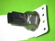 Raildrucksensor OPEL CROSSLAND X (P17) 1.2 (08, 68) 1614668949