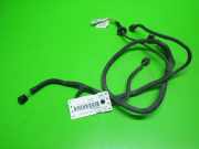 Kabelstrang Kabelbaum OPEL SIGNUM 1.9 CDTI 24438408