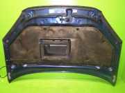 Motorhaube TOYOTA RAV 4 II (_A2_) 2.0 D 4WD (CLA20_, CLA21_) 5330142050