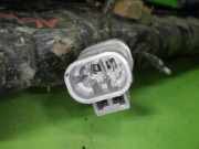 Wasserkühler NISSAN (DATSUN) MICRA I (K10) 1.2