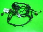 Kabelstrang Kabelbaum Tür vorne links VW PHAETON (3D_) 3.0 V6 TDI 4motion 3D1971120E