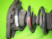 Federbein hinten links NISSAN (DATSUN) ALMERA II Hatchback (N16) 1.5