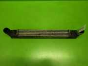 Ladeluftkühler FORD GALAXY (WGR) 1.9 TDI 1020622