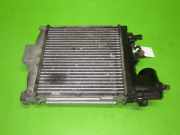 Ladeluftkühler TOYOTA LAND CRUISER (KDJ12_, GRJ12_) 3.0 D-4D (KDJ120, KDJ125) 1794030070