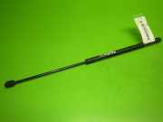 Gasdruckfeder Dämpfer vorne SEAT LEON (1M1) 1.9 TDI 1M0823359A