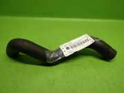 Kühlerschlauch oben NISSAN (DATSUN) NAVARA (D40) 2.5 dCi 4WD