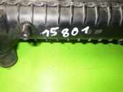 Wasserkühler RENAULT 19 I (B/C53_) 1.9 D (B/C534, B/C53J)