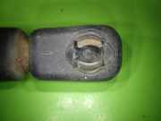 Gasdruckfeder Dämpfer hinten rechts FORD ESCORT V Cabriolet (ALL) 1.6 V91ABL406A10AB