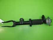 Federbein vorne rechts ALFA ROMEO STELVIO (949_) 2.0 Q4 50557509