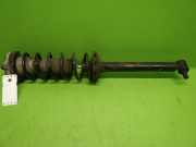 Federbein hinten rechts AUDI (NSU) A4 Avant (8D5, B5) 1.9 TDI 343302