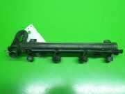 Einspritzanlage VW GOLF IV (1J1) 1.4 16V 036133319