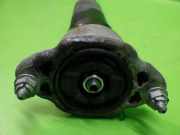 Stoßdämpfer hinten links MERCEDES-BENZ C-KLASSE Coupe (C204) C 250 (204.347) 317266