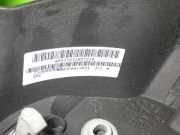 Lenkrad SEAT LEON (1P1) 1.9 TDI 5P0419091AN