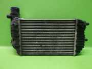 Ladeluftkühler PEUGEOT BOXER Kasten (244) 2.8 HDi 1307012080