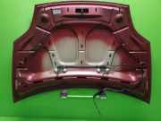 Motorhaube FIAT BRAVO II (198) 1.6 D Multijet