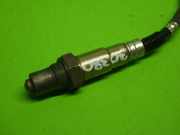 Lambdasonde hinten OPEL CORSA E (X15) 1.4 55562206