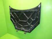 Motorhaube FORD FOCUS (DAW, DBW) 1.6 16V 1430131