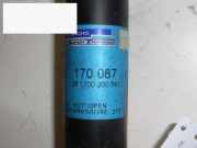 Stoßdämpfer hinten links VOLVO 440 K (445) 1.8 170087