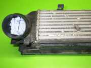 Ladeluftkühler BMW 3 (F30, F35, F80) 318 d xDrive 17517600530