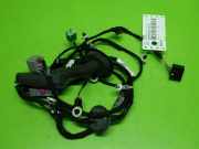 Kabelstrang Kabelbaum Tür hinten links OPEL INSIGNIA B Sports Tourer (Z18) 1.6 CDTi (35) 39205688