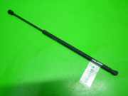 Gasdruckfeder Dämpfer hinten links FORD FIESTA V (JH_, JD_) 1.3