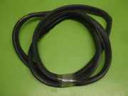 Türgummi Türdichtung hinten links MAZDA 2 (DE) 1.3