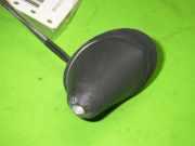 Radioantenne FIAT PANDA (169_) 1.2