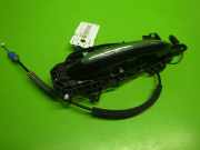 Türgriff hinten links außen OPEL AMPERA-E (F17) EV150 (48) 13598453