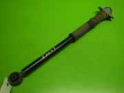 Stoßdämpfer hinten rechts VW POLO (9N_) 1.4 16V 6Q0513025BL