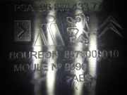 Luftdüse vorne rechts CITROEN C3 Picasso 1.6 HDi 9683043377